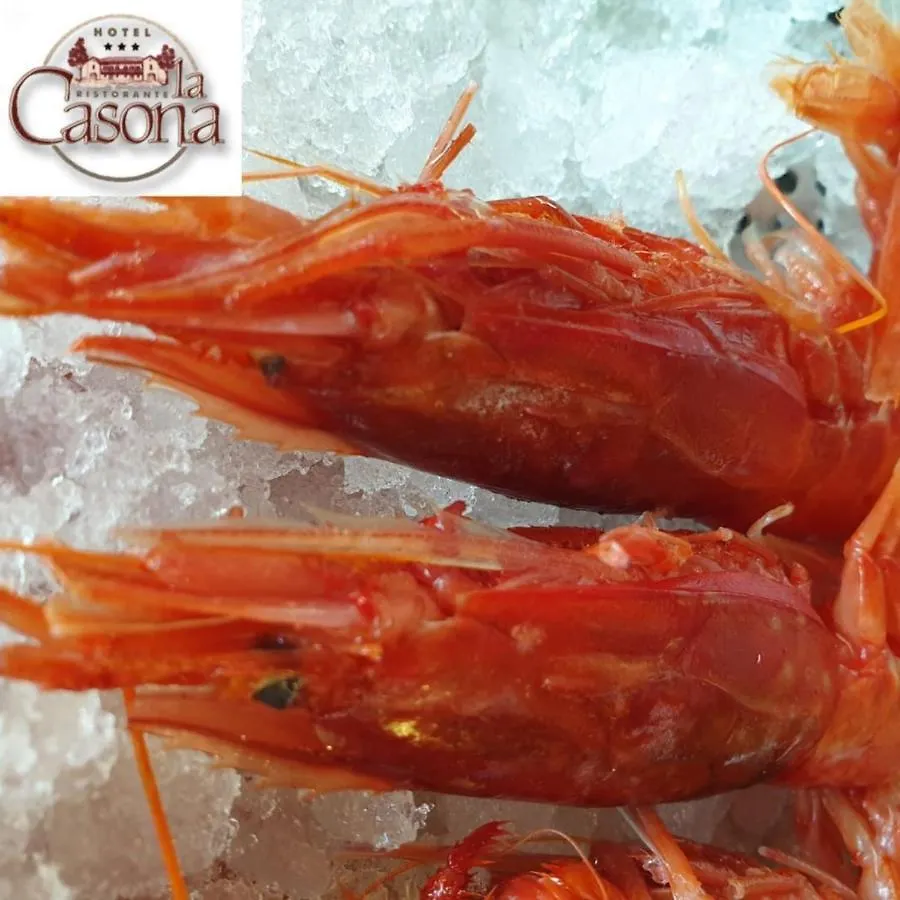 פלטרה Hotel Ristorante La Casona 3*,  איטליה