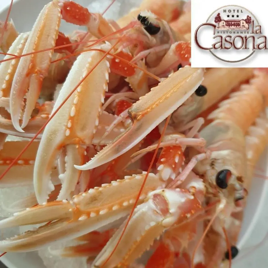 פלטרה Hotel Ristorante La Casona